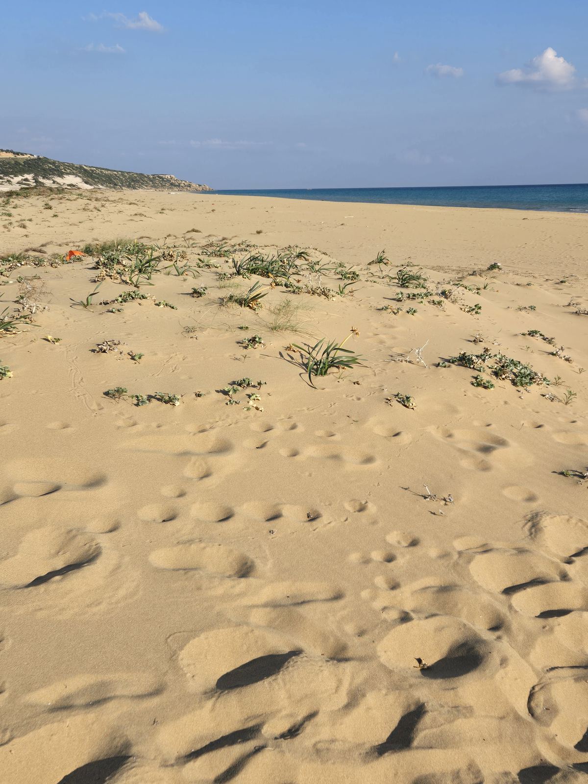Wydmy i plaża na półwyspie Karpaz